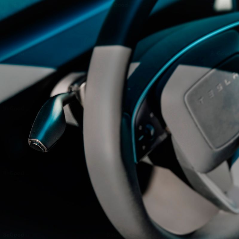 S3XY Stalks Tesla Model S & X